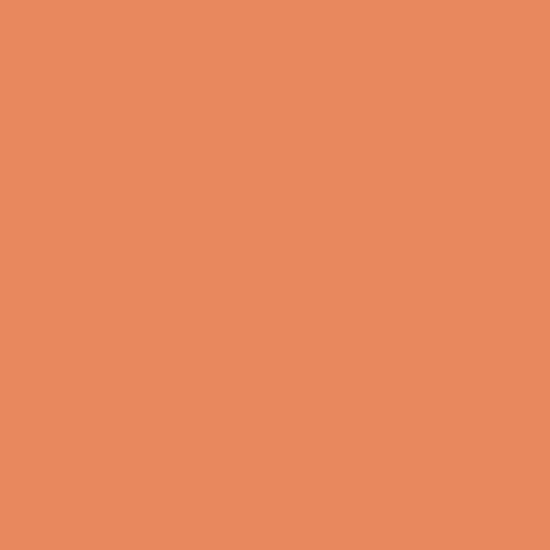 CEO workshop background color - peach