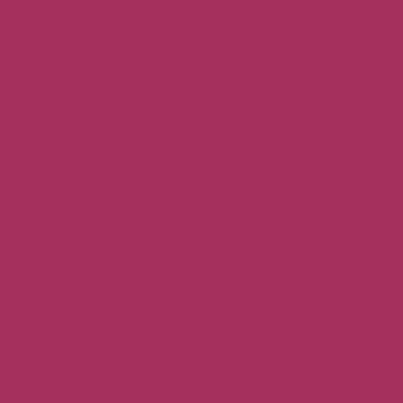 CEO workshop background color - raspberry